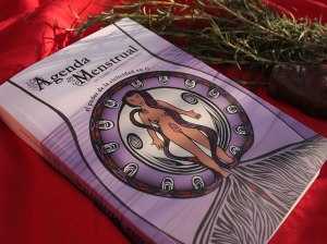 Agenda Menstrual